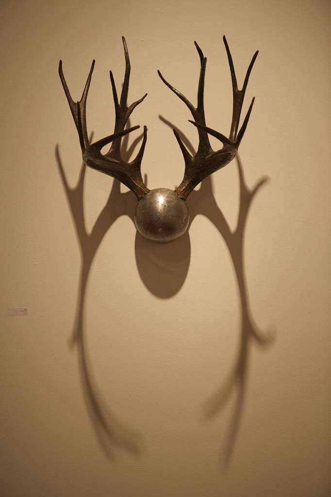 Mounted Stag